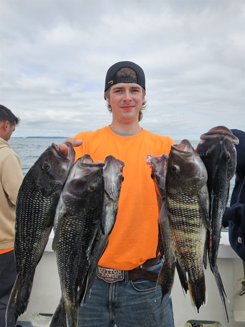 Angler with a pair of black sea bass