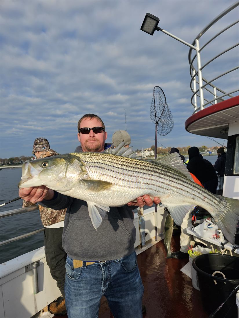 Angler holding a big striped bass on deck